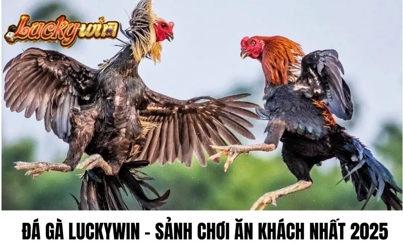 Đá Gà Luckywin